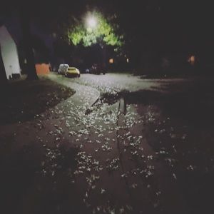 Meet your Posher, Angie